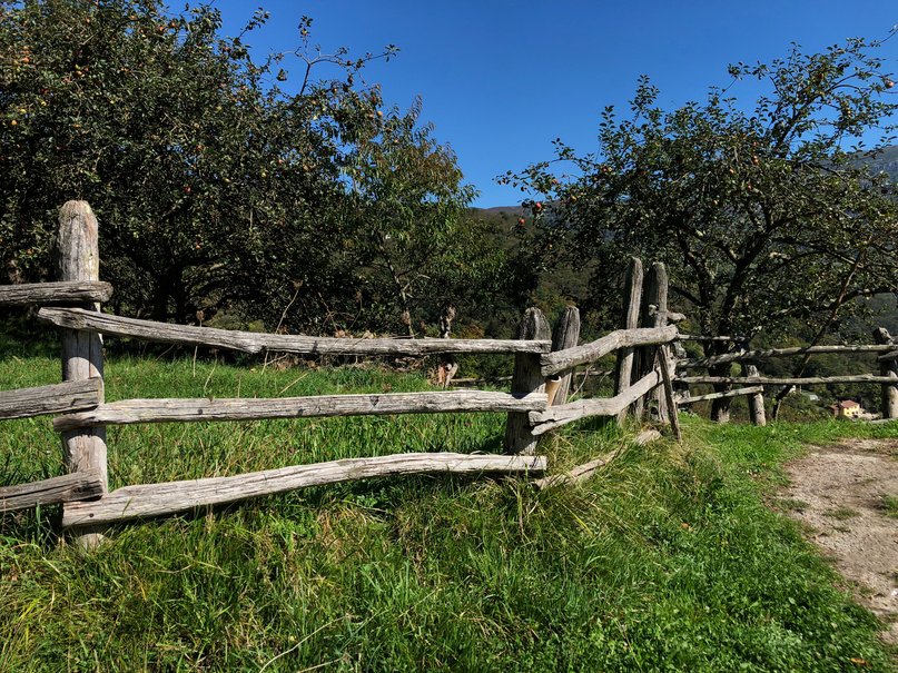 Wood Fence