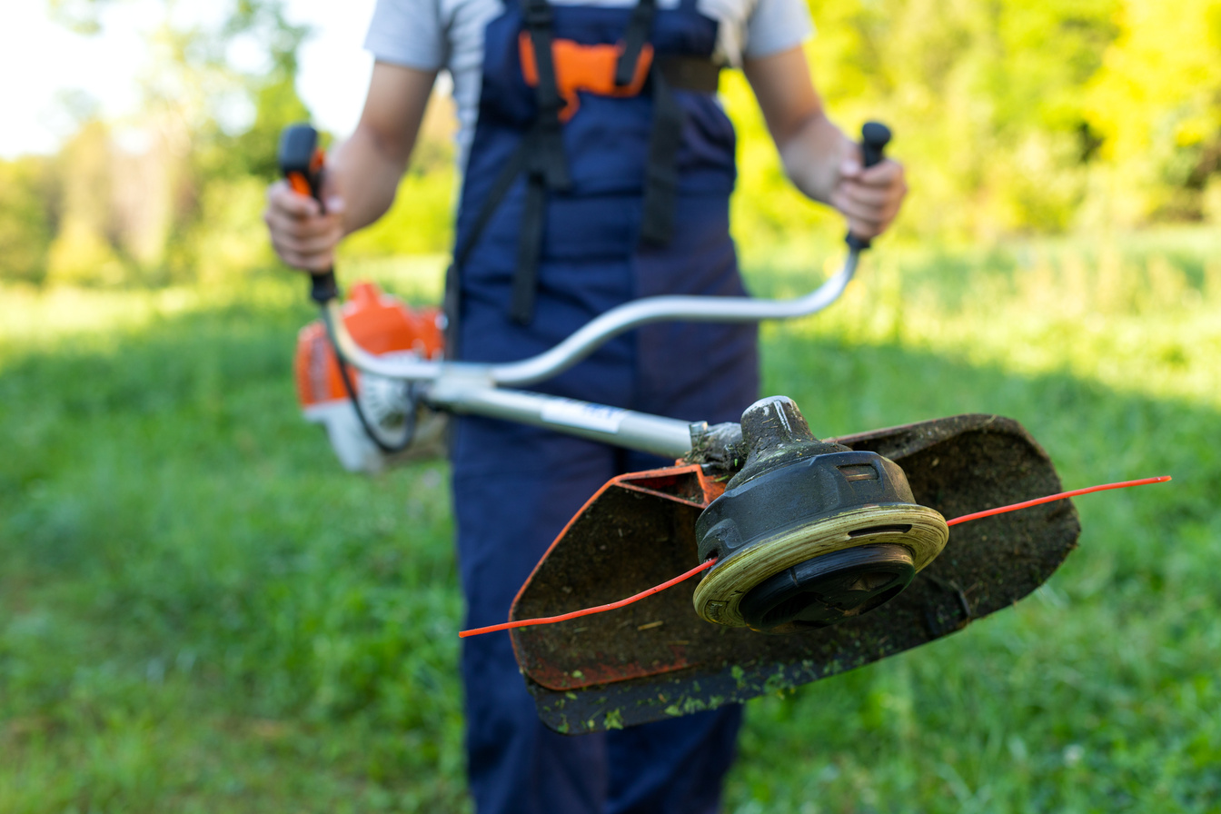 Cutting grass